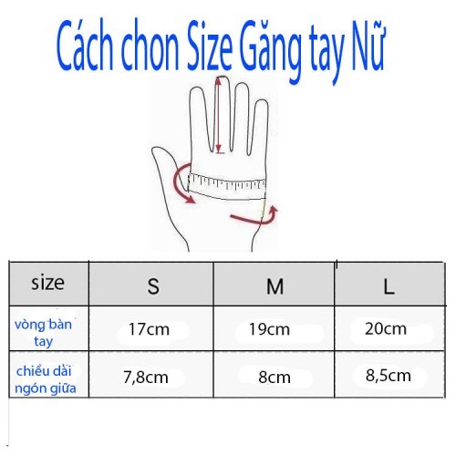 Cách chọn size găng tay nữ tại Bao Ha Leather